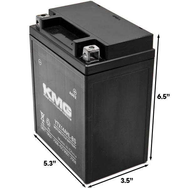 YTX14AHL-BS Sealed Maintenance Free Battery 12V Powersport Motorcycle Scooter ATV