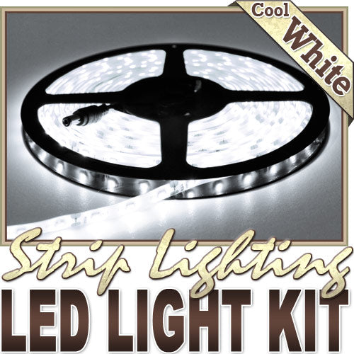 3.3' Feet Cool White 60 LEDs Light Remote Control Dimmer Kit SMD3528 110V Plug