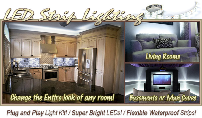 3.3' Feet Cool White 60 LEDs Light Remote Control Dimmer Kit SMD3528 110V Plug