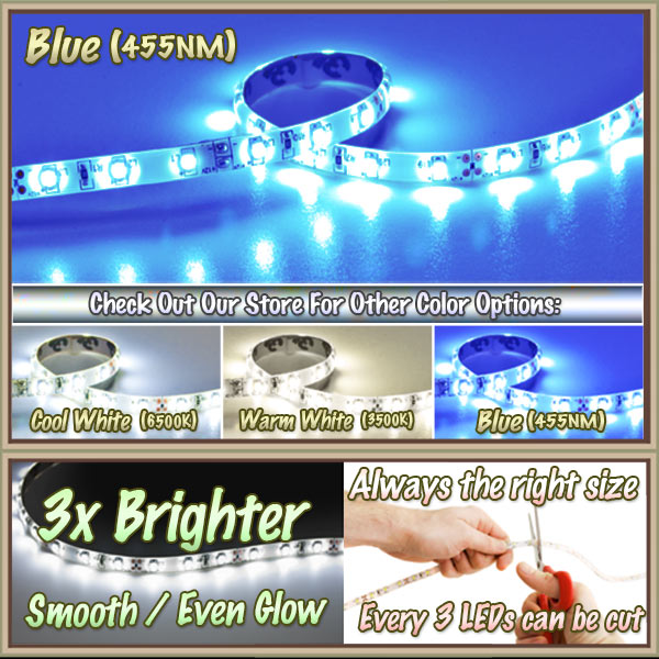 6' Feet Blue 114 LEDs Light Lighting Remote Control Dimmer Kit SMD3528 110V Plug