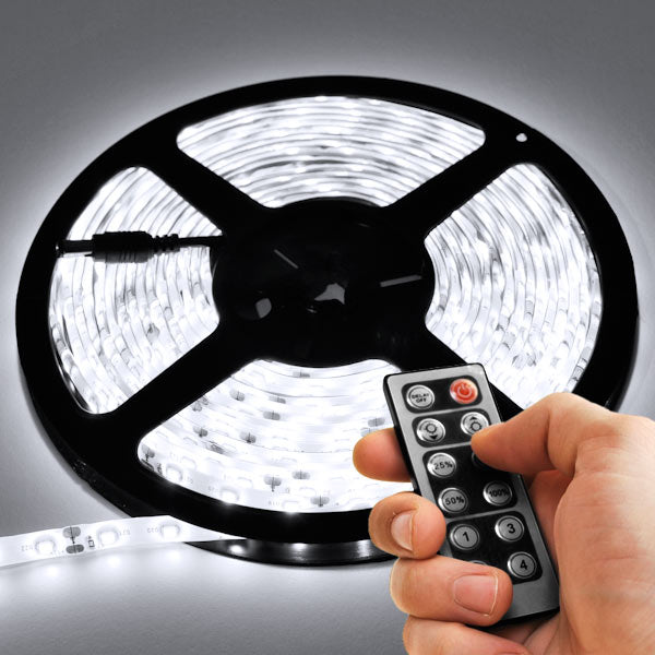 6' Feet Cool White 114 LEDs Light Remote Control Dimmer Kit SMD3528 110V Plug